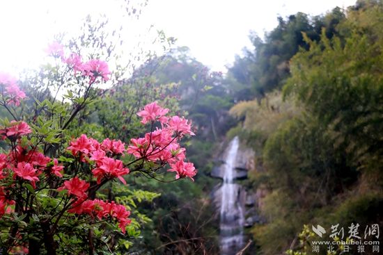 黃龍山頂，風(fēng)景如畫 黃錚 攝_副本.jpg.jpg