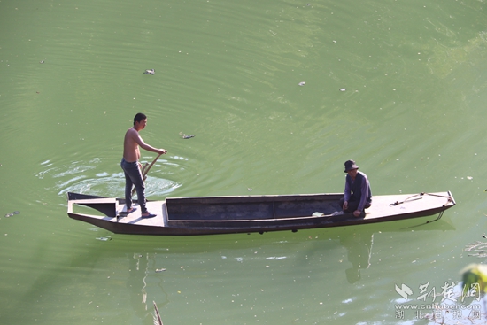 乘船出行、打魚(yú)至今都是盤(pán)山村民生活的一部分 黃錚 攝_副本.jpg